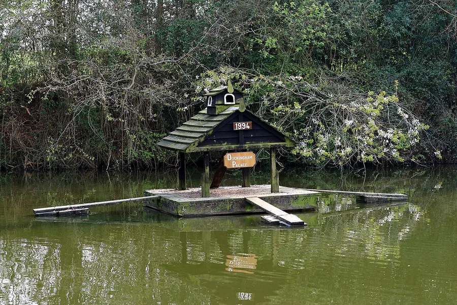 The Duckingham Palace duck house on Widmore Pond in Sonning Common.